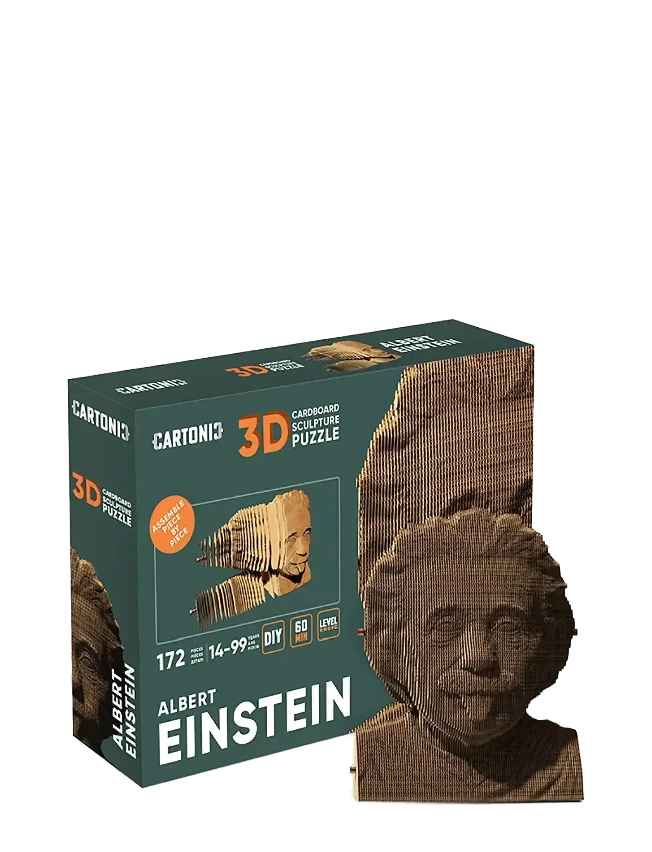 Cartonic Cartonic 3D Puzzle EINSTEIN - Interior - BROWN / brown