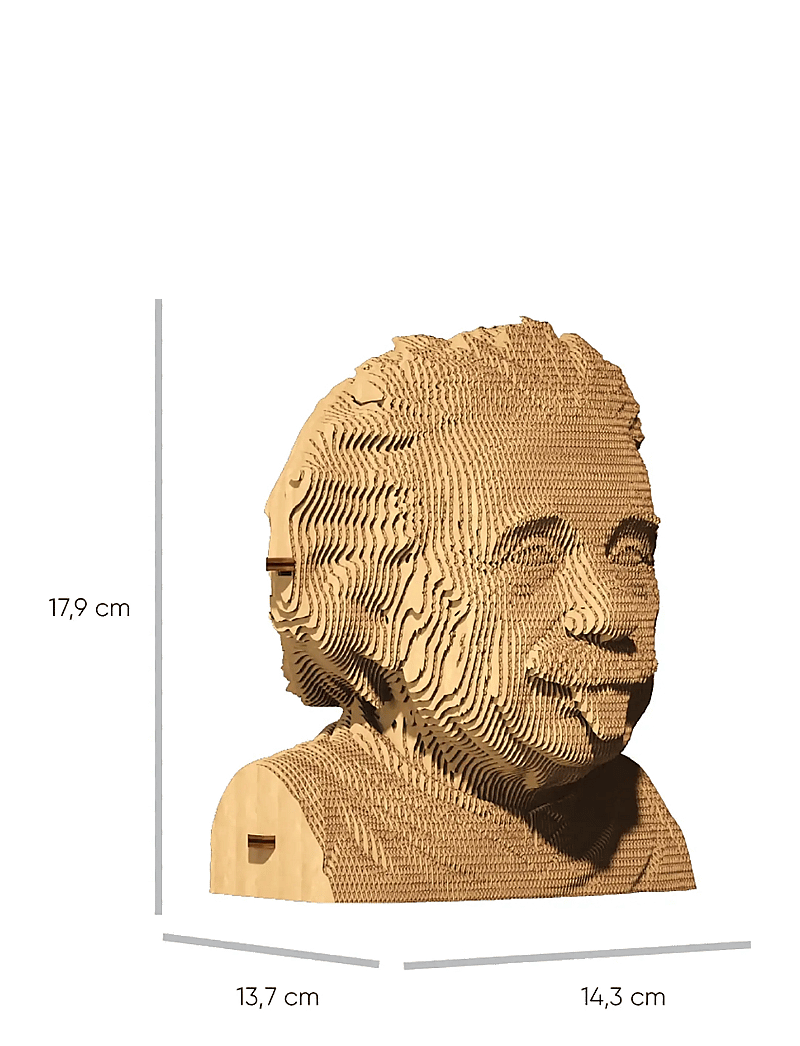 Cartonic - Cartonic 3D Puzzle EINSTEIN - figurines en bois - brown - 5