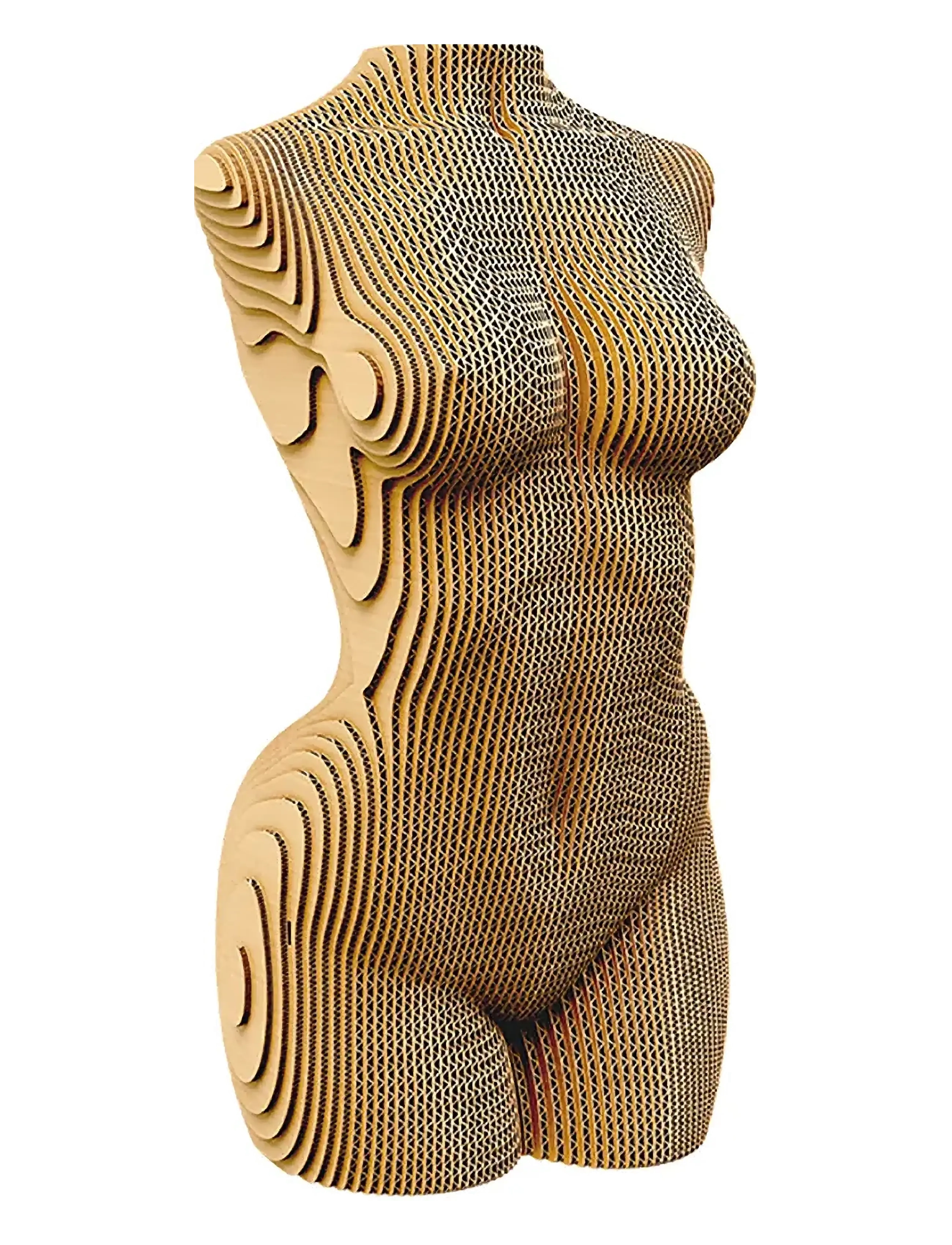 Cartonic - Cartonic 3D Puzzle FEMALE TORSO - wooden figures - brown - 1