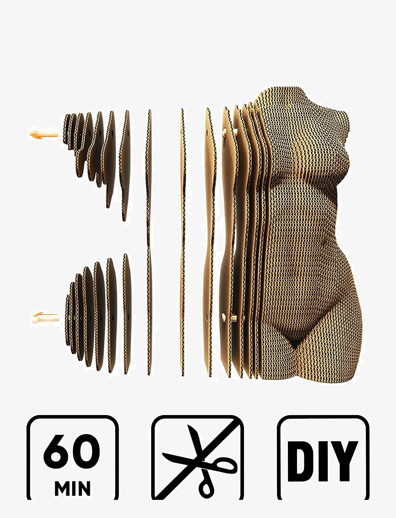 Cartonic - Cartonic 3D Puzzle FEMALE TORSO - holzfiguren - brown - 3