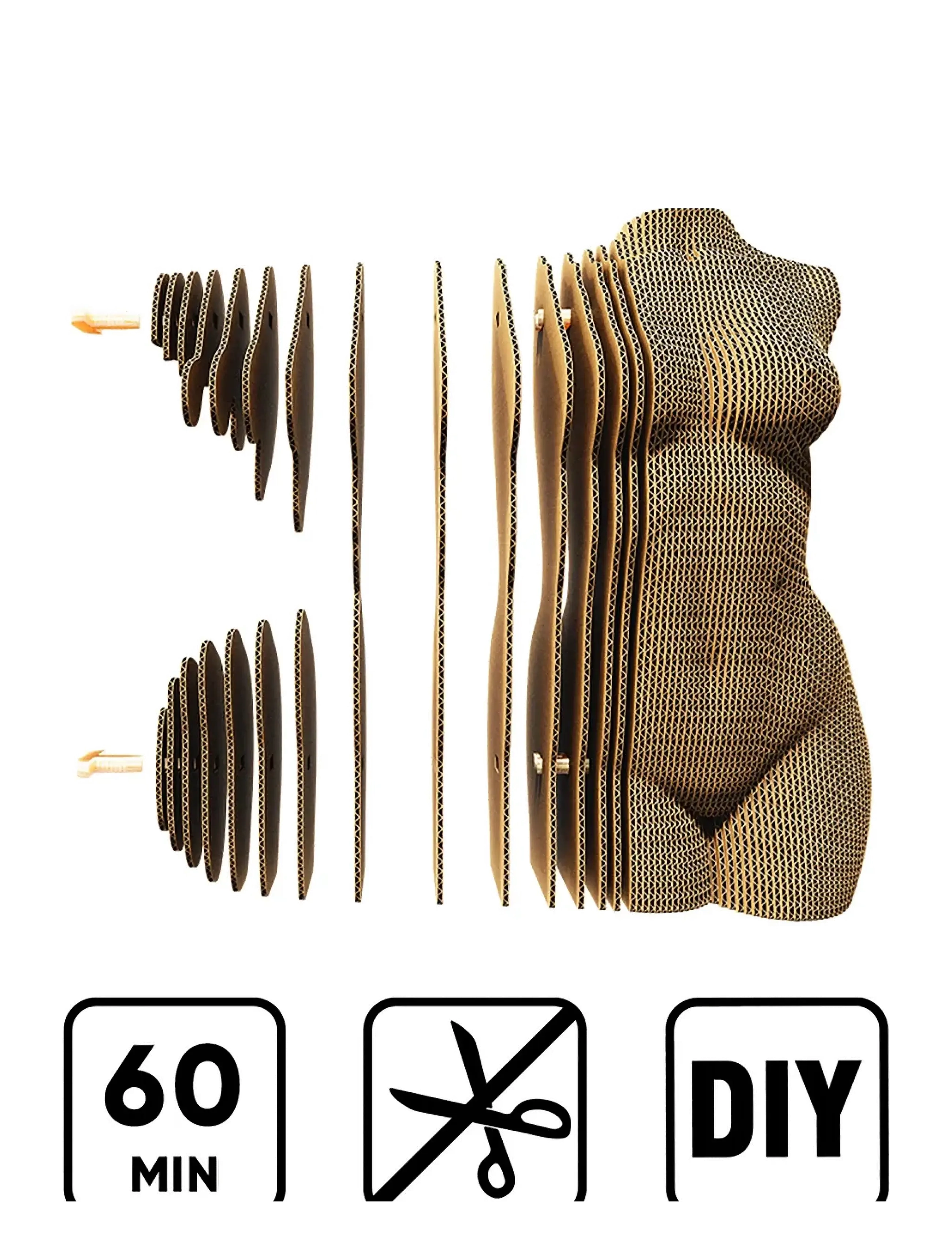 Cartonic - Cartonic 3D Puzzle FEMALE TORSO - wooden figures - brown - 3
