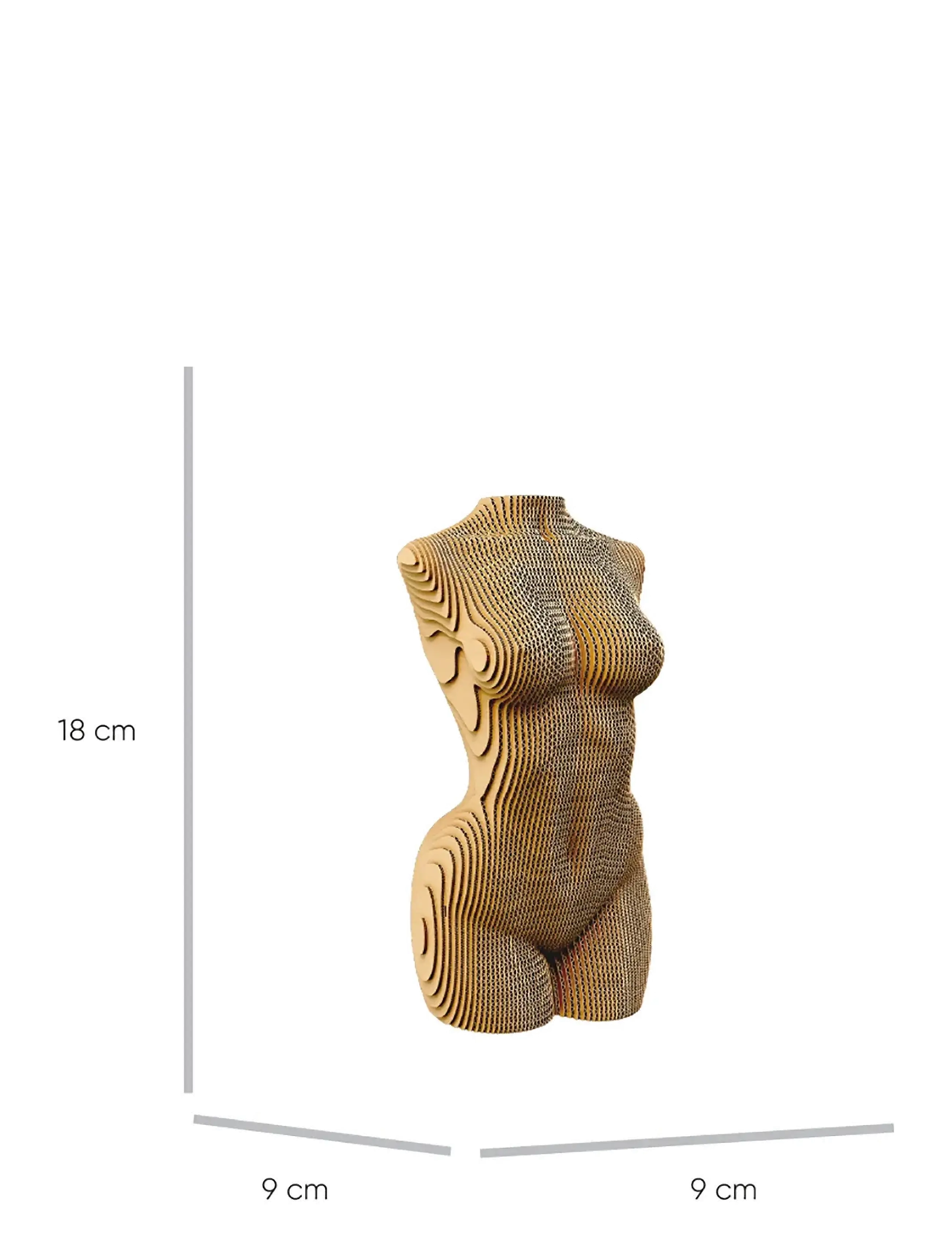 Cartonic - Cartonic 3D Puzzle FEMALE TORSO - wooden figures - brown - 4