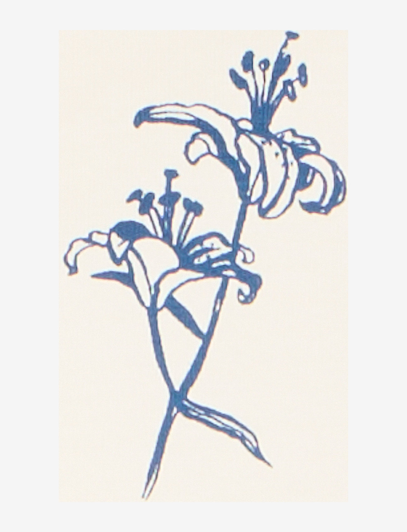 Casual Friday - CFJAXSON tee with backprint - cloud dancer - 2