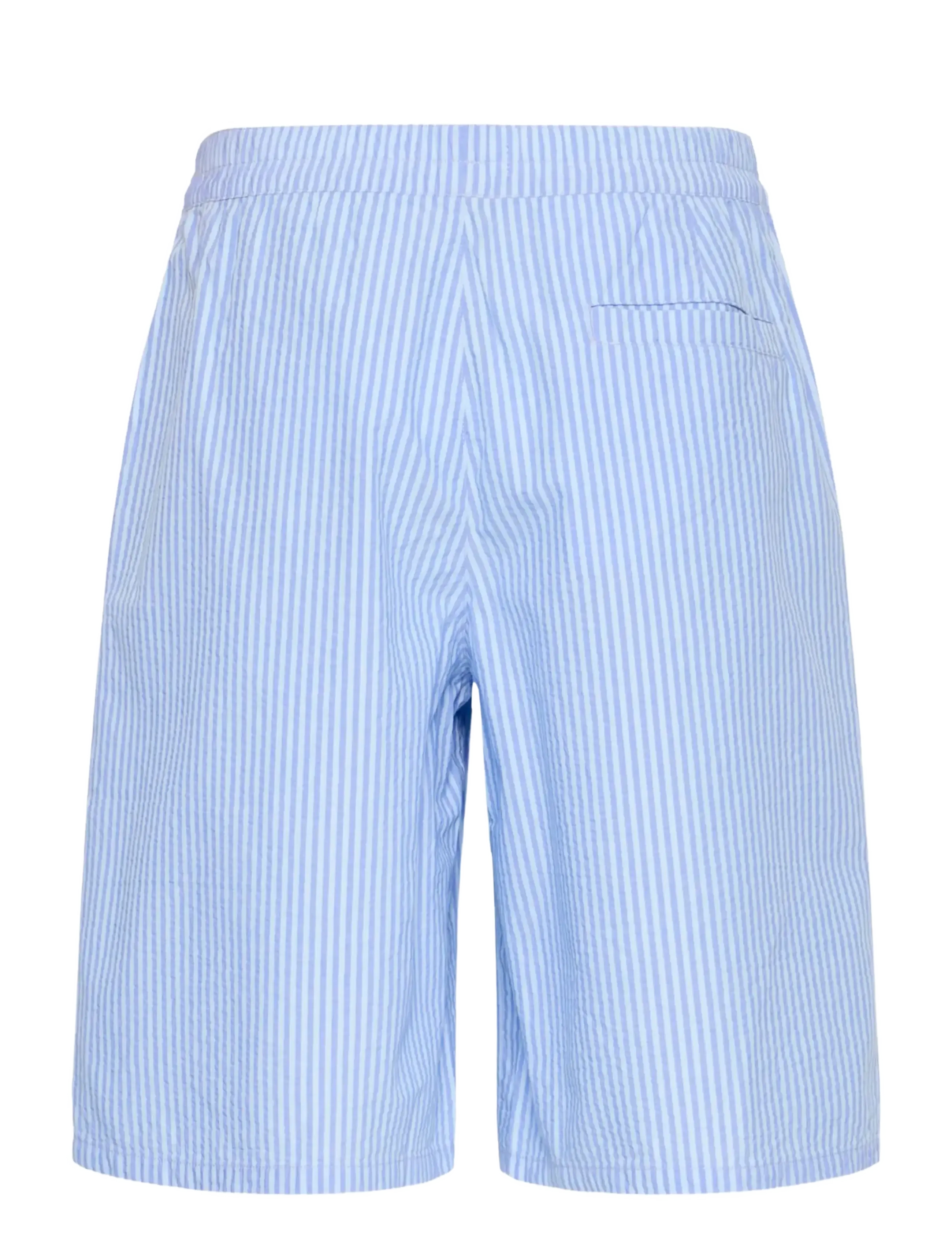 Casual Friday - CFJAEVON 0273 STRIPED SHORTS - lühikesed vabaajapüksid - cerulean stripe - 2