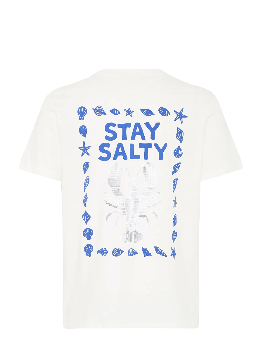 Casual Friday - CFOKSVOLL 0281 T-SHIRT - lühikeste varrukatega t-särgid - snow white with surf the web - 2