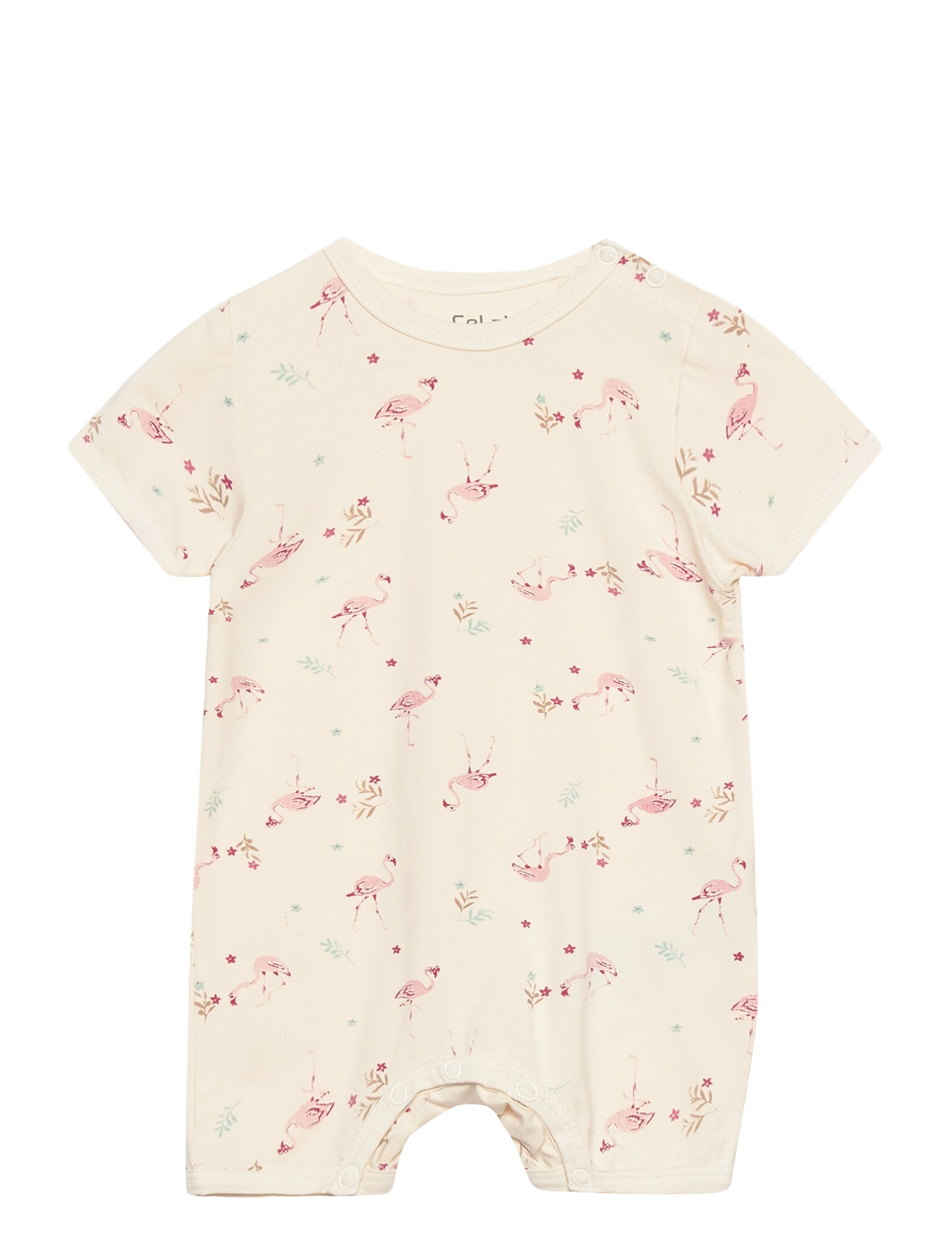 BRANDIED APRICOT