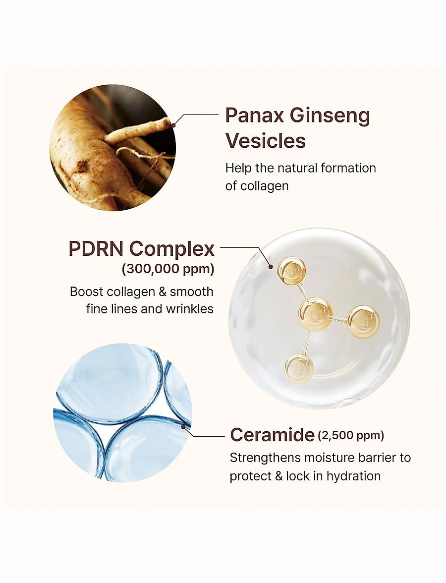 Centellian24 - PDRN Firming Boosting Ampoule - serum - clear - 3