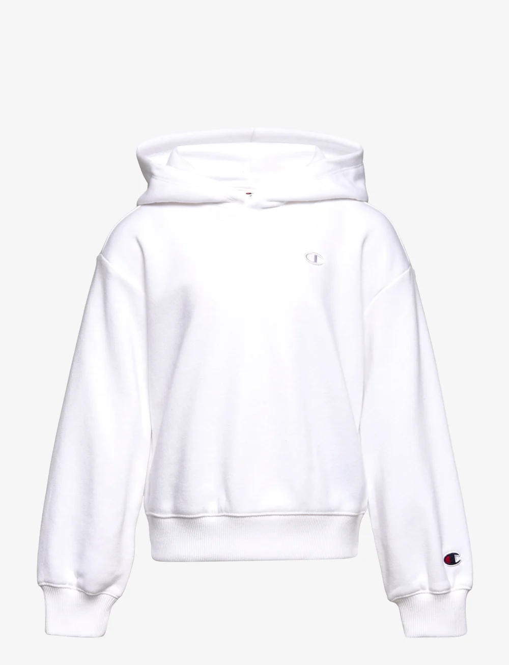 Champion rochester hooded sweatshirt hot sale