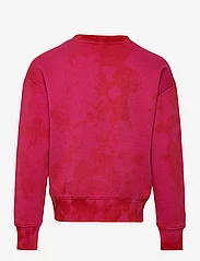 Champion Rochester - Crewneck Sweatshirt - sportiska stila džemperi - fuhsia purple - 1