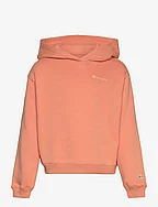 Hooded Sweatshirt - CANYON