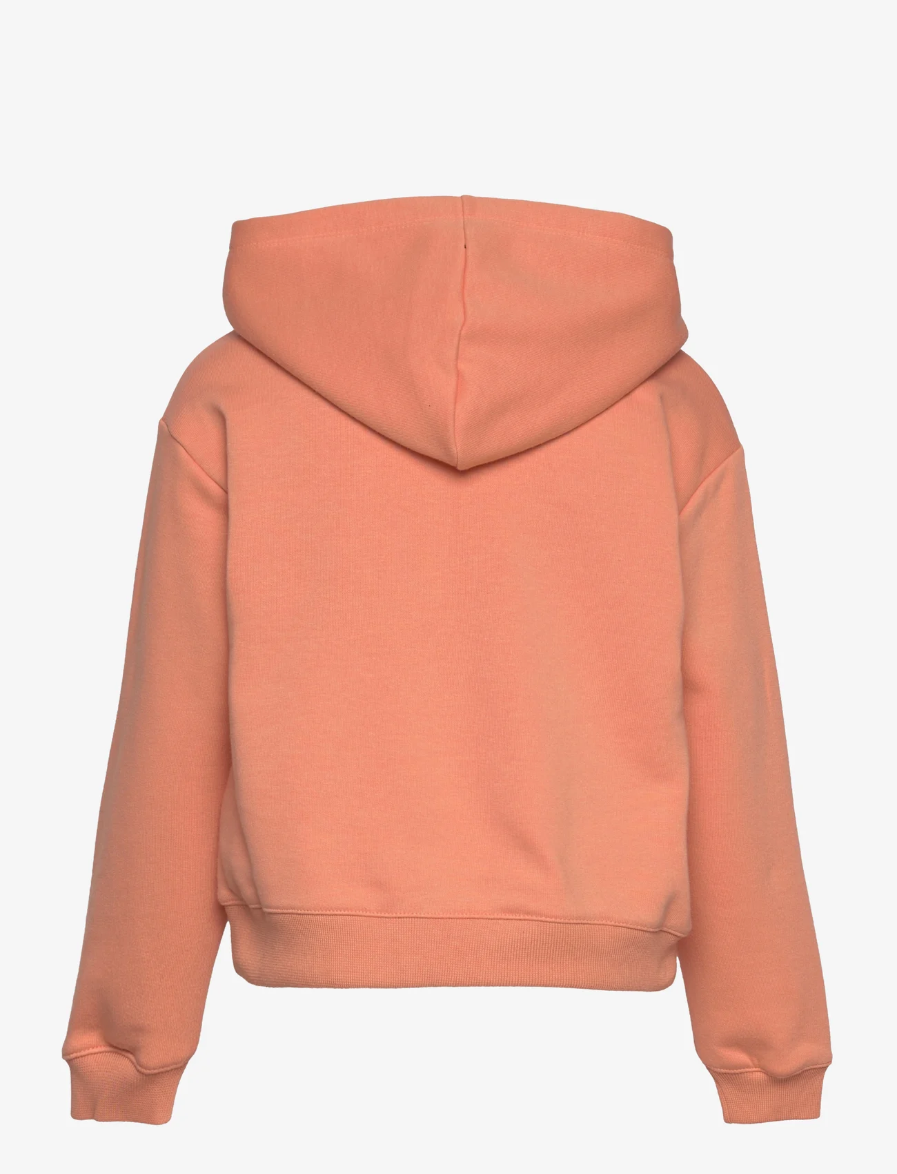 Champion Rochester - Hooded Sweatshirt - hoodies - canyon - 1