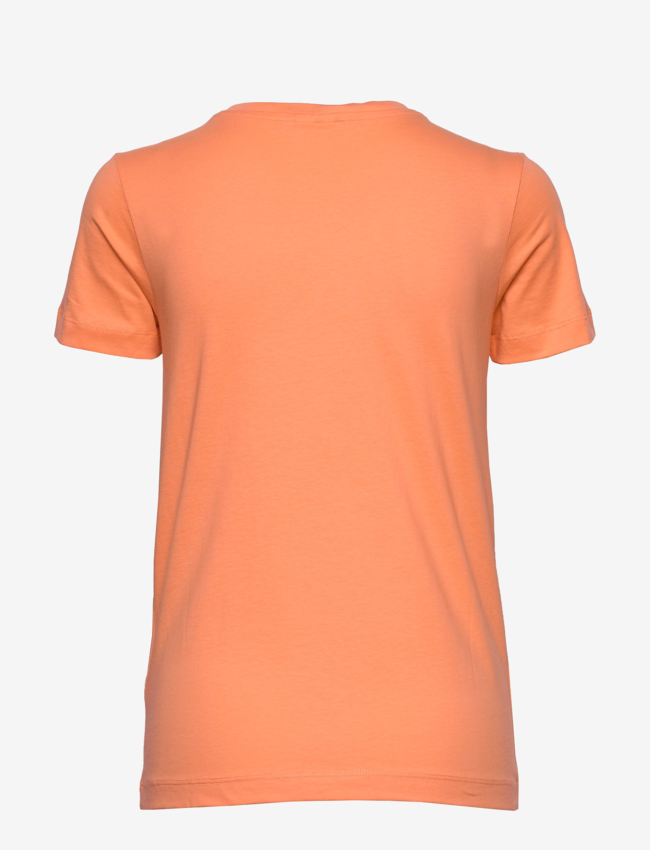 Champion - Crewneck T-Shirt - cantalope - 1