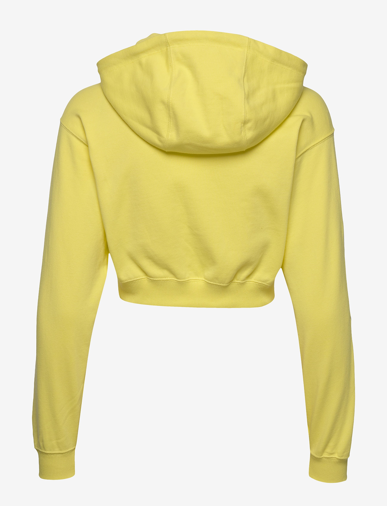 Champion - Hooded Sweatshirt - limelight - 1