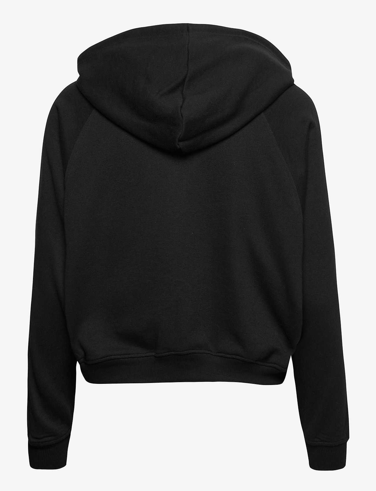 Champion - Hooded Sweatshirt - black beauty - 1
