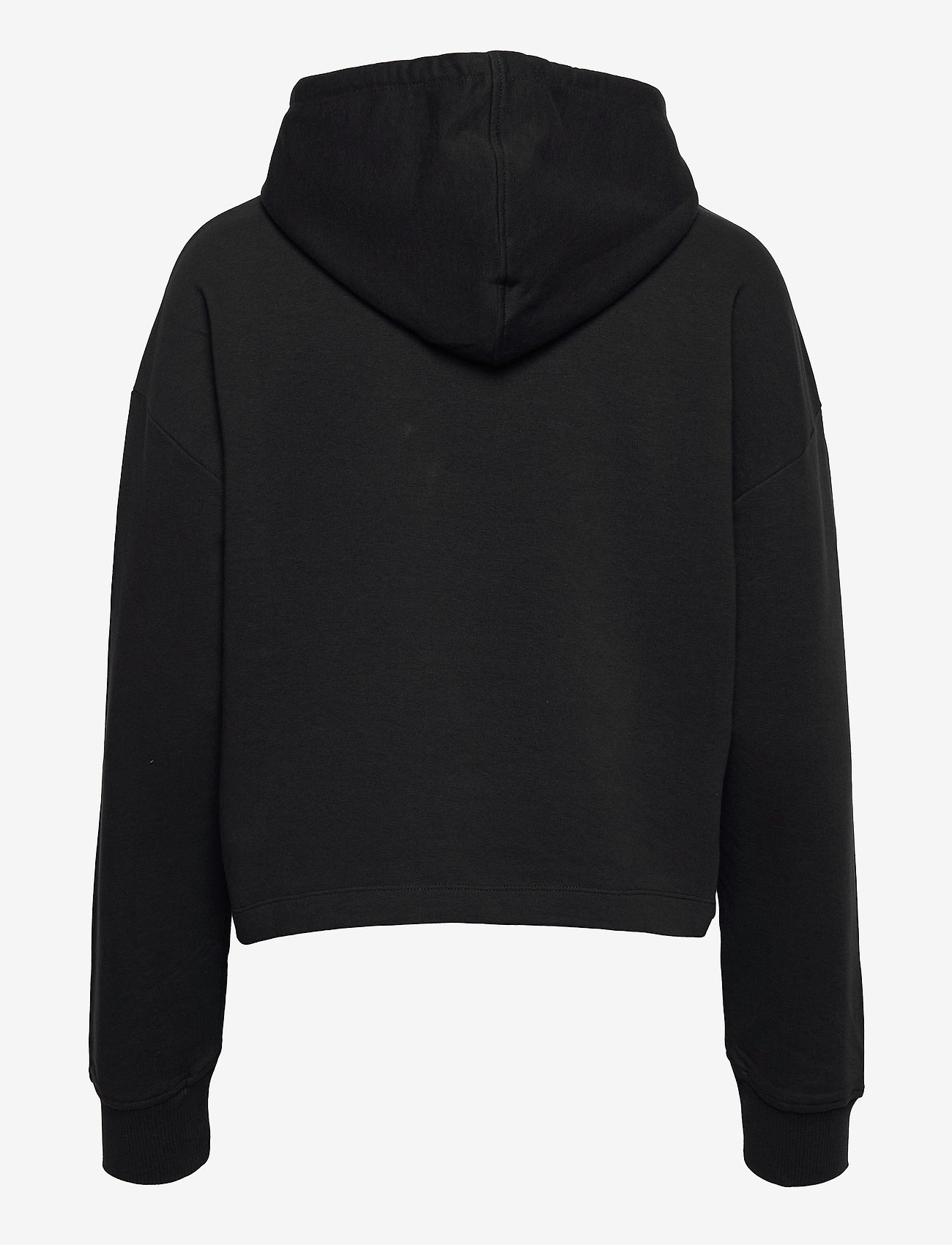 Champion - Hooded Sweatshirt - black beauty - 1