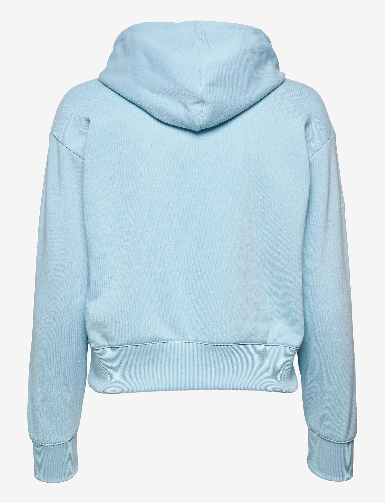 Champion - Hooded Sweatshirt - sky blue - 1