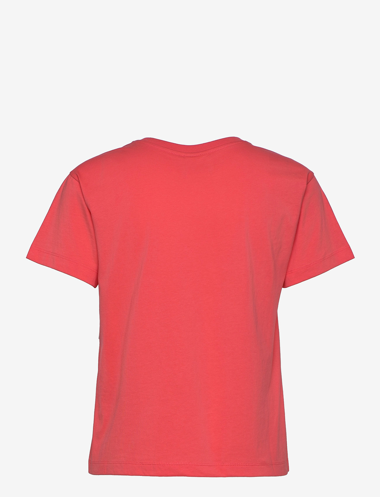 Champion - Crewneck T-Shirt - dubarry - 1