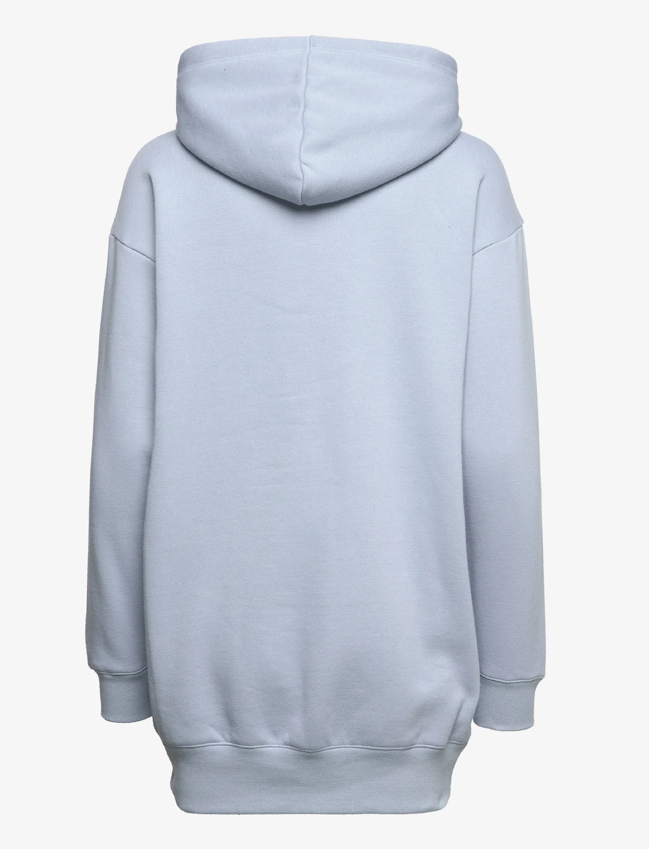 Champion - Maxi Hooded Sweatshirt - hoodies - ashley blue - 1