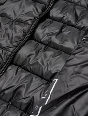 Champion - Hooded Polyfilled Jacket - pūkinės ir paminkštintosios striukės - black beauty - 4