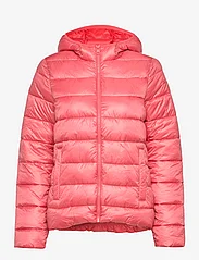 Champion - Hooded Polyfilled Jacket - toppatakit - tea rose - 0