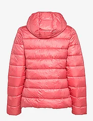 Champion - Hooded Polyfilled Jacket - toppatakit - tea rose - 1