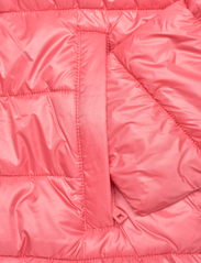 Champion - Hooded Polyfilled Jacket - down- & padded jackets - tea rose - 3