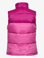 Champion - Polyfilled Vest - mouwloze vesten - phlox pink - 1