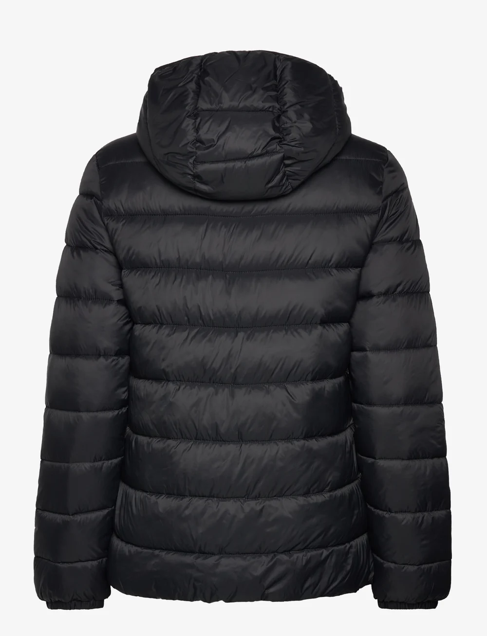 Champion padded 2025 black puffer jacket