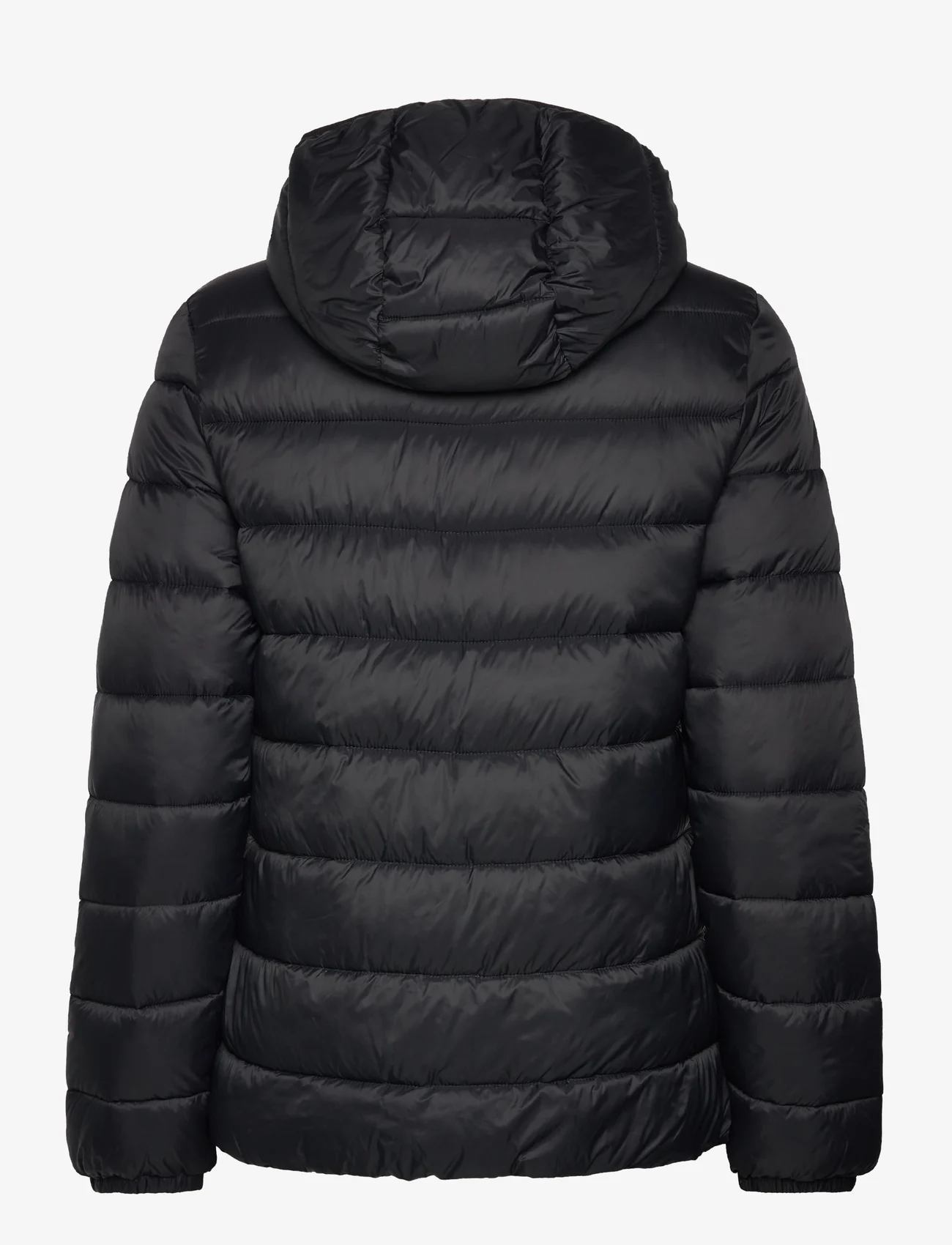 Champion - Hooded Polyfilled Jacket - gefütterte & daunenjacken - black beauty - 1