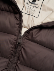 Champion - Hooded Polyfilled Jacket - down- & padded jackets - java - 2