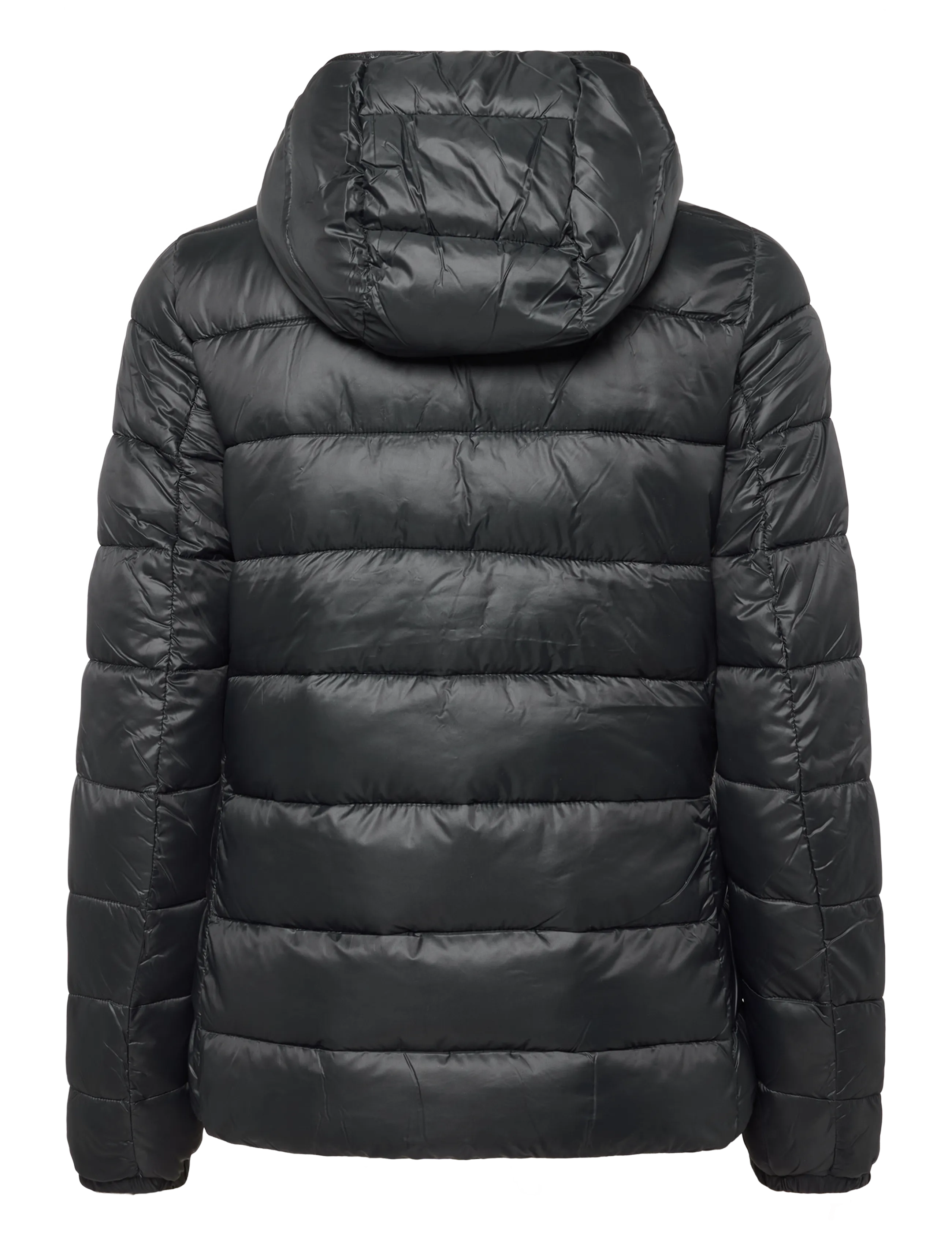 Champion - Hooded Jacket - winter jackets - kk001-nbk - 2