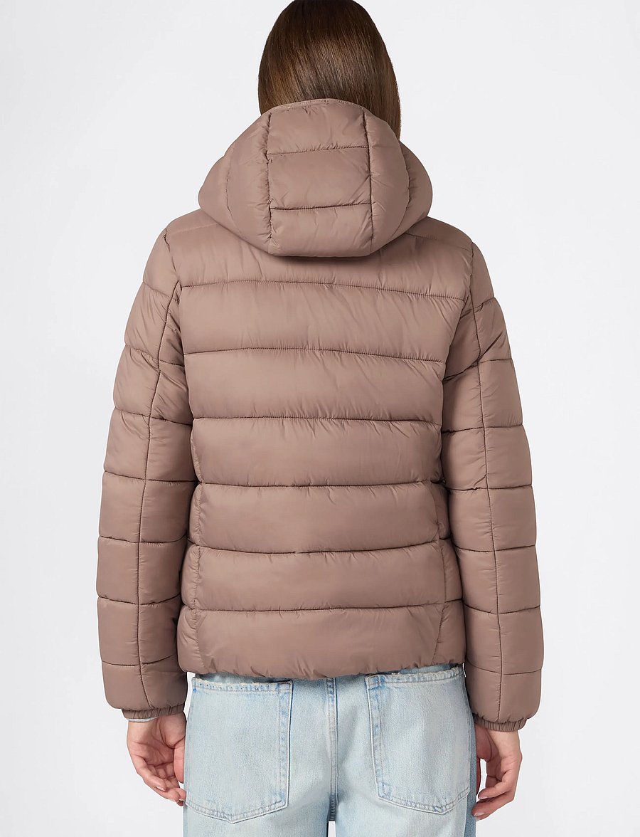 Champion - Hooded Jacket - ms513-dpu - 3
