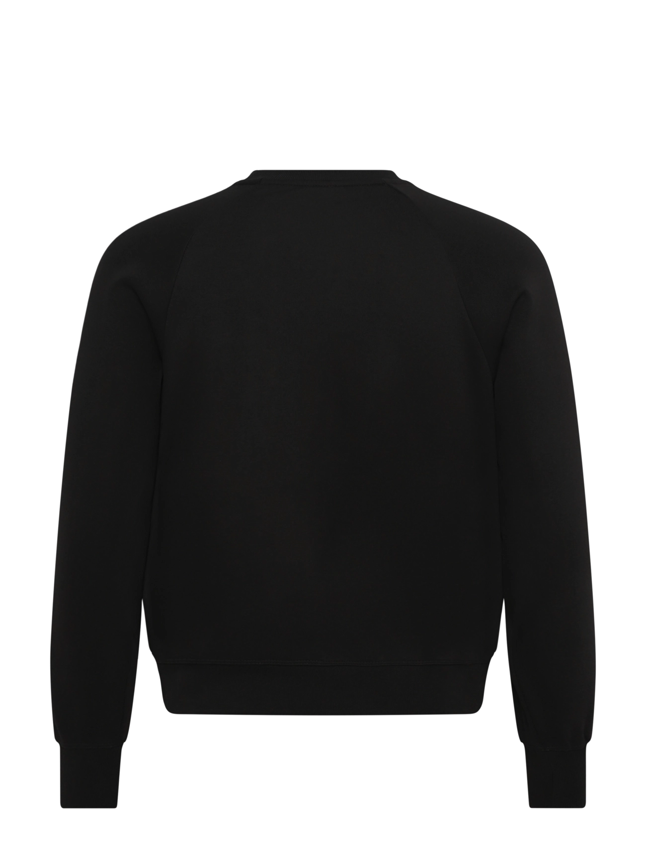 Champion - Crewneck Sweatshirt - dressipluusid ja pusad - gs509-mos/mos - 2