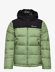Champion - Hooded Jacket - talvitakit - loden frost - 0
