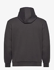 Champion - Hooded Sweatshirt - hættetrøjer - black beauty - 1