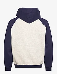 Champion - Hooded Sweatshirt - hættetrøjer - gray melange  light - 1