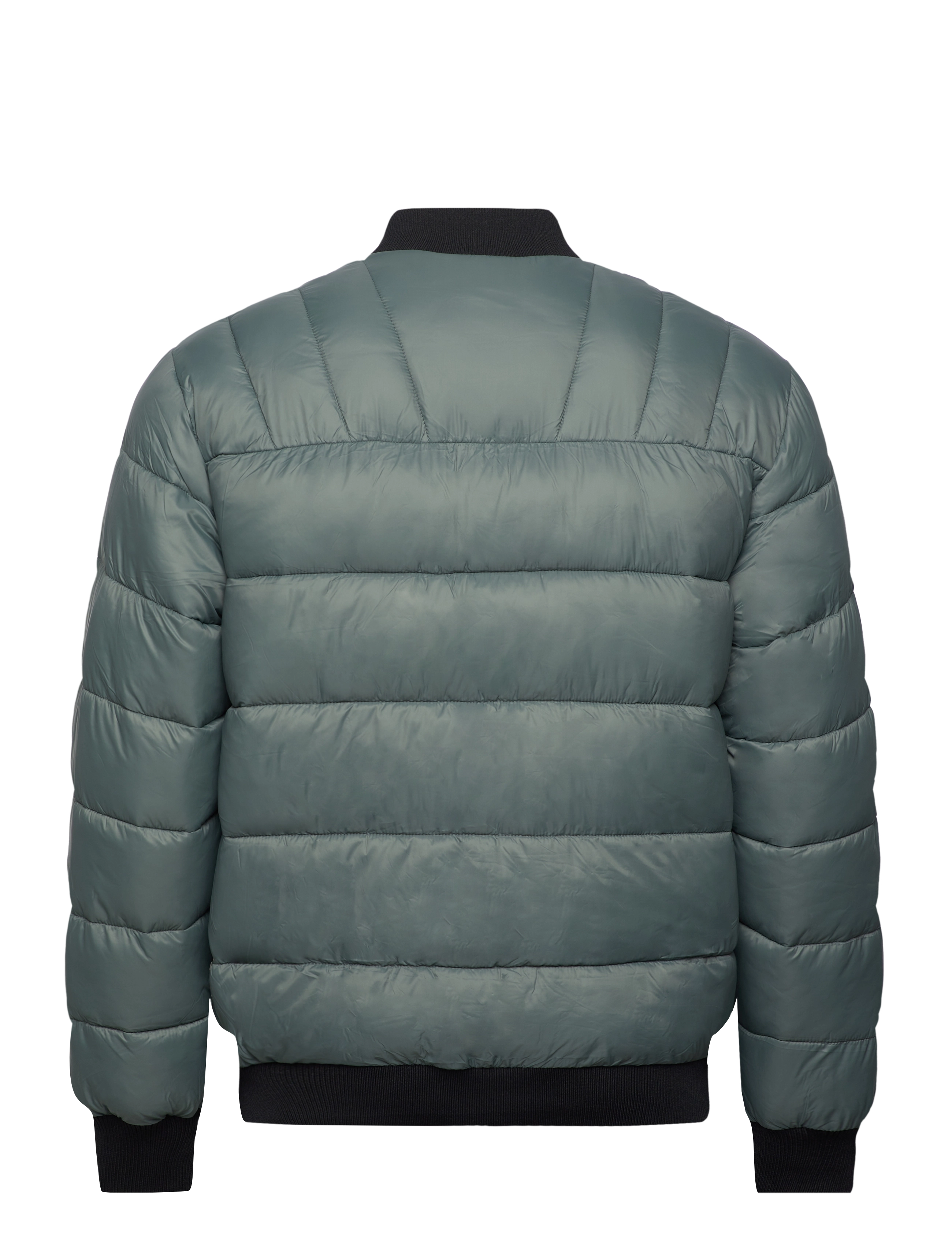 Champion - Bomber Jacket - balsamo green - 1
