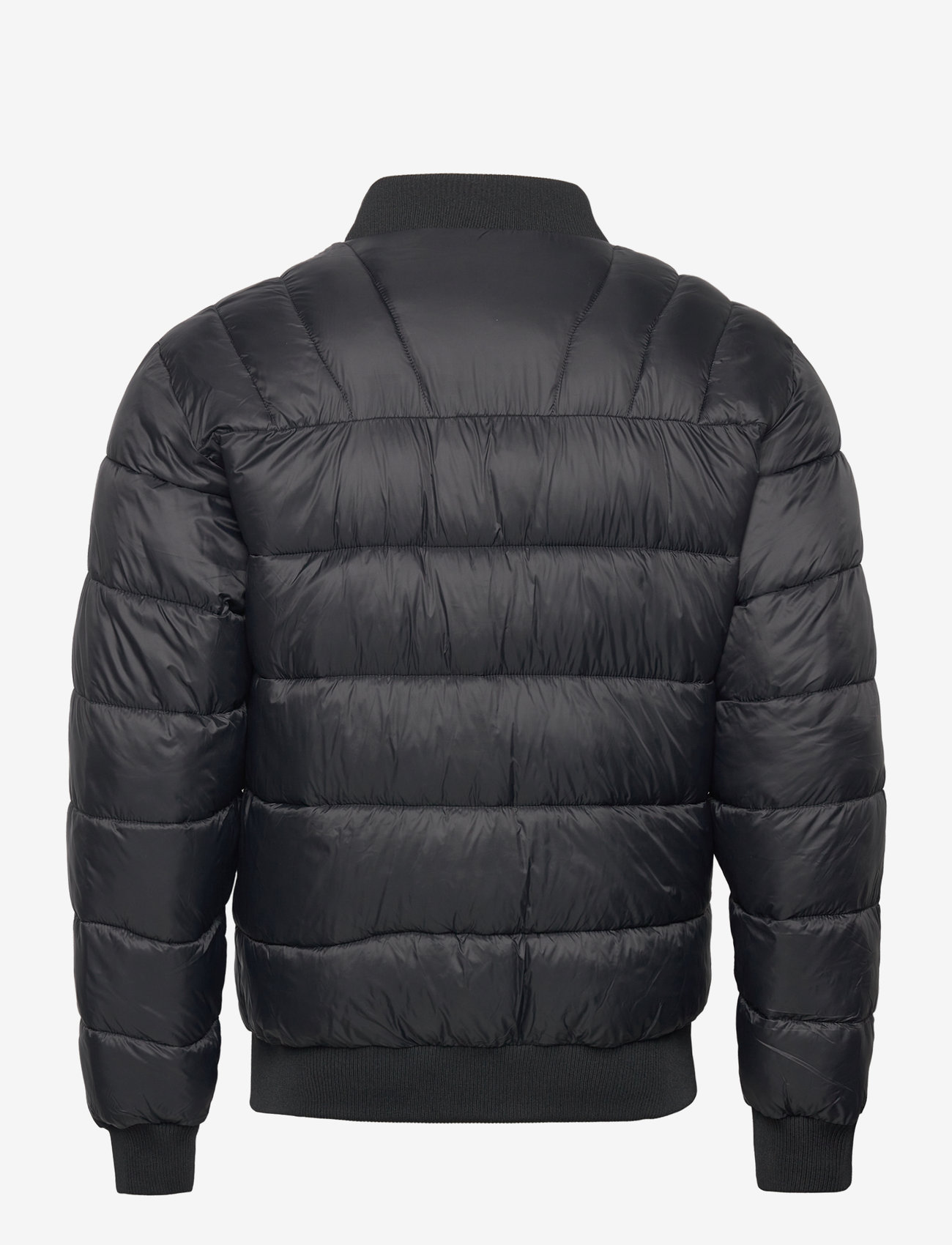 Champion - Bomber Jacket - black beauty - 1