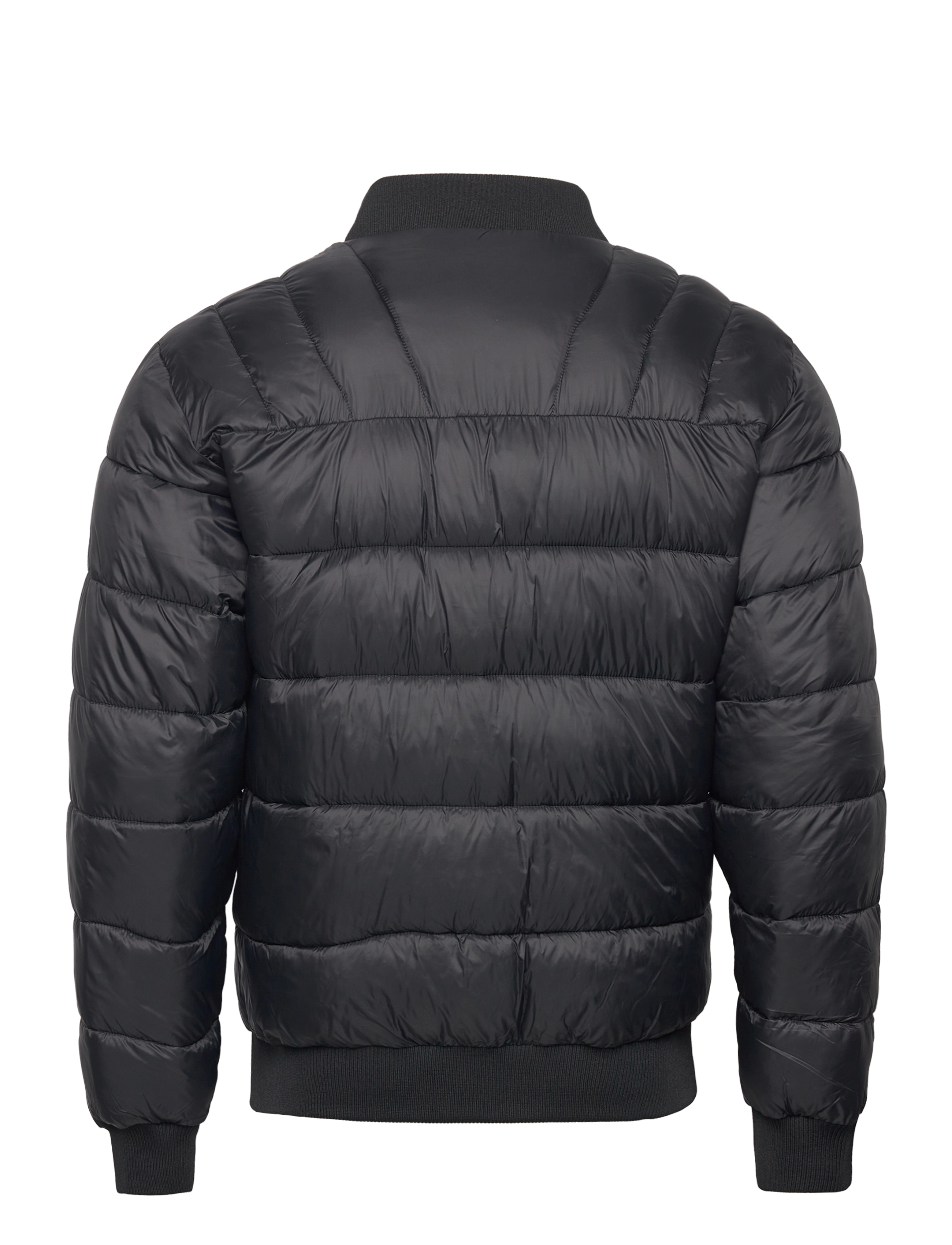 Champion - Bomber Jacket - black beauty - 1