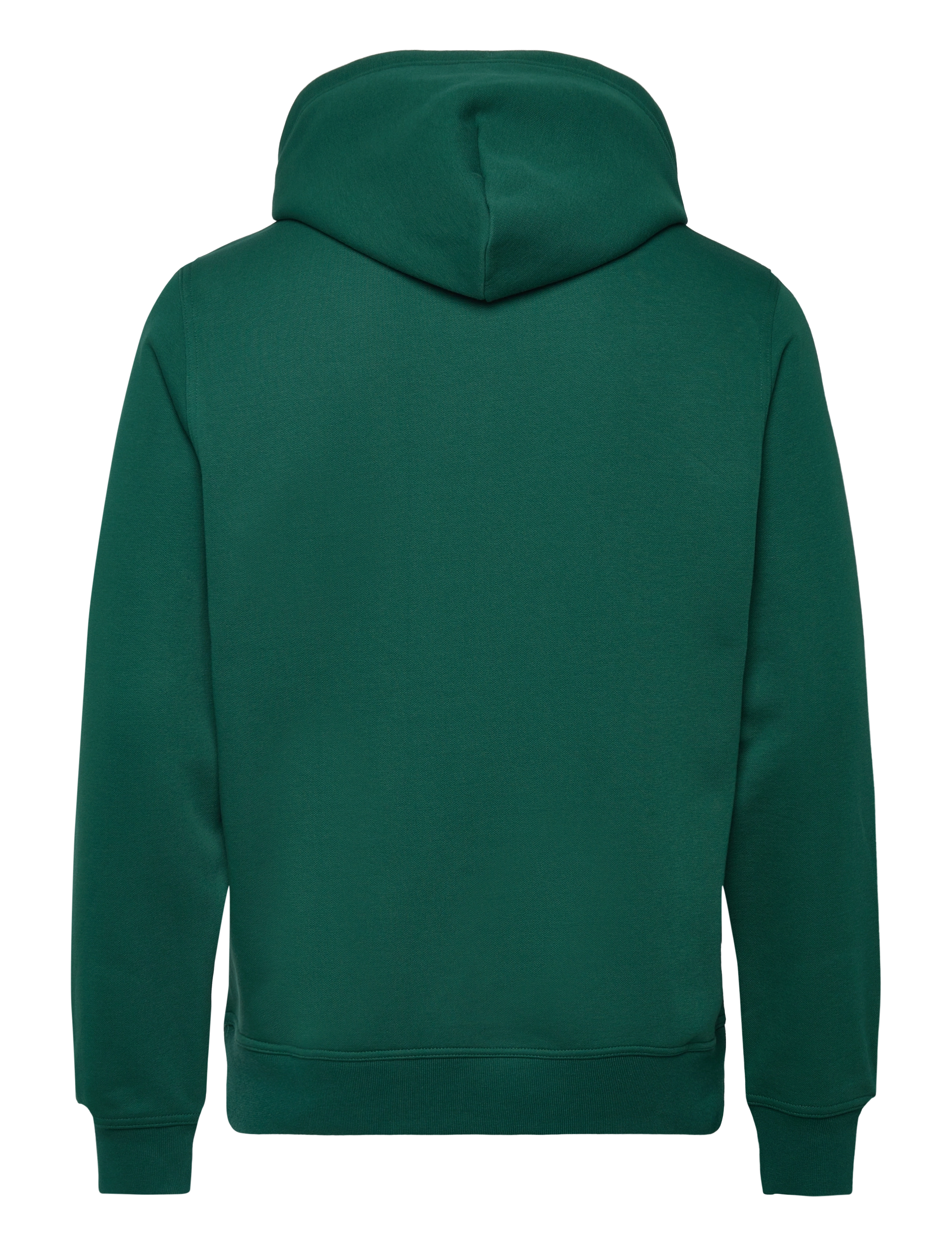 Champion - Hooded Sweatshirt - rain forest - 2