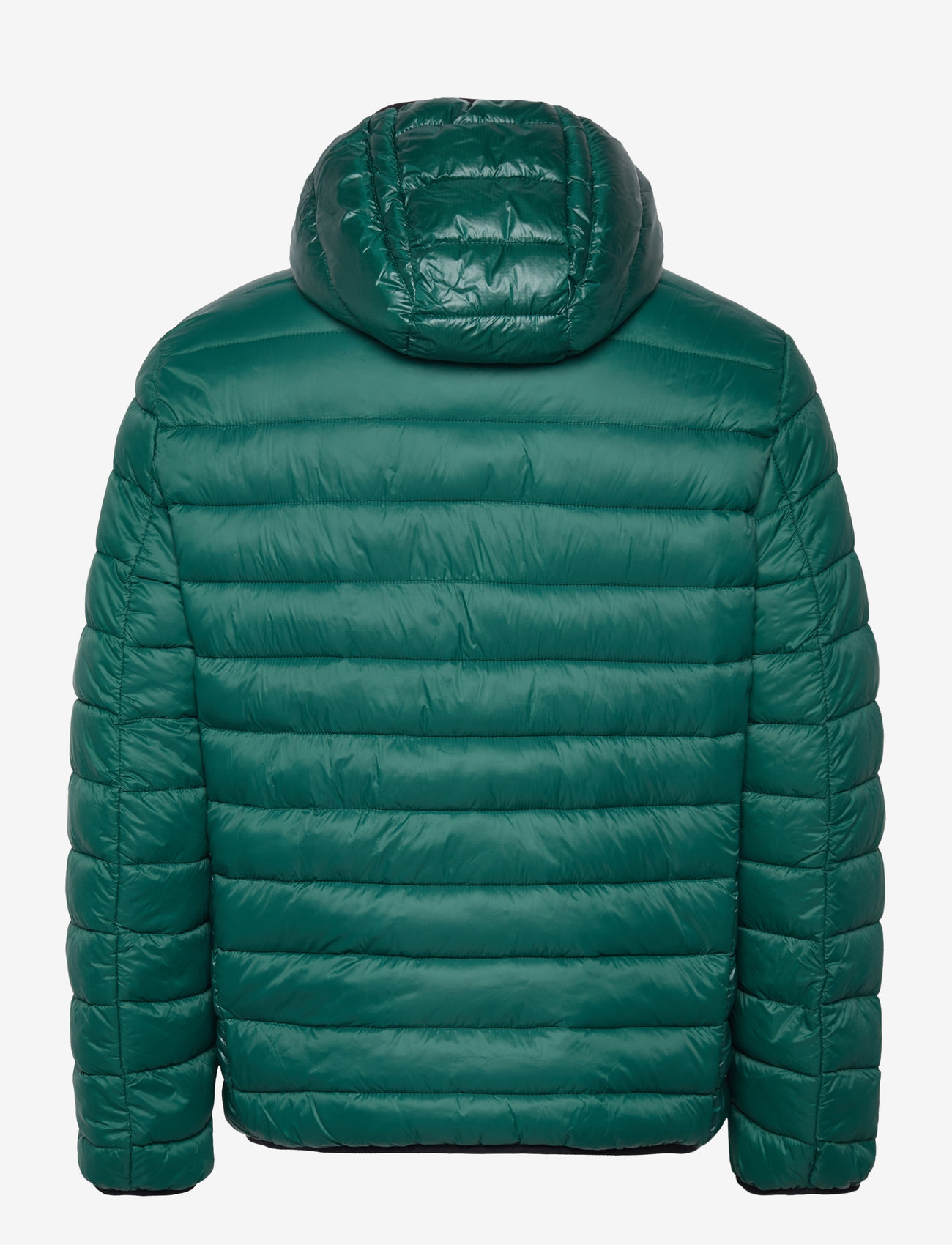 Champion - Hooded Jacket - herbstjacken - rain forest - 1