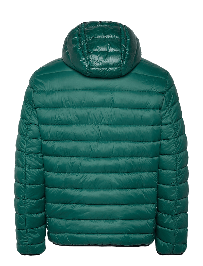 Champion - Hooded Jacket - rain forest - 1