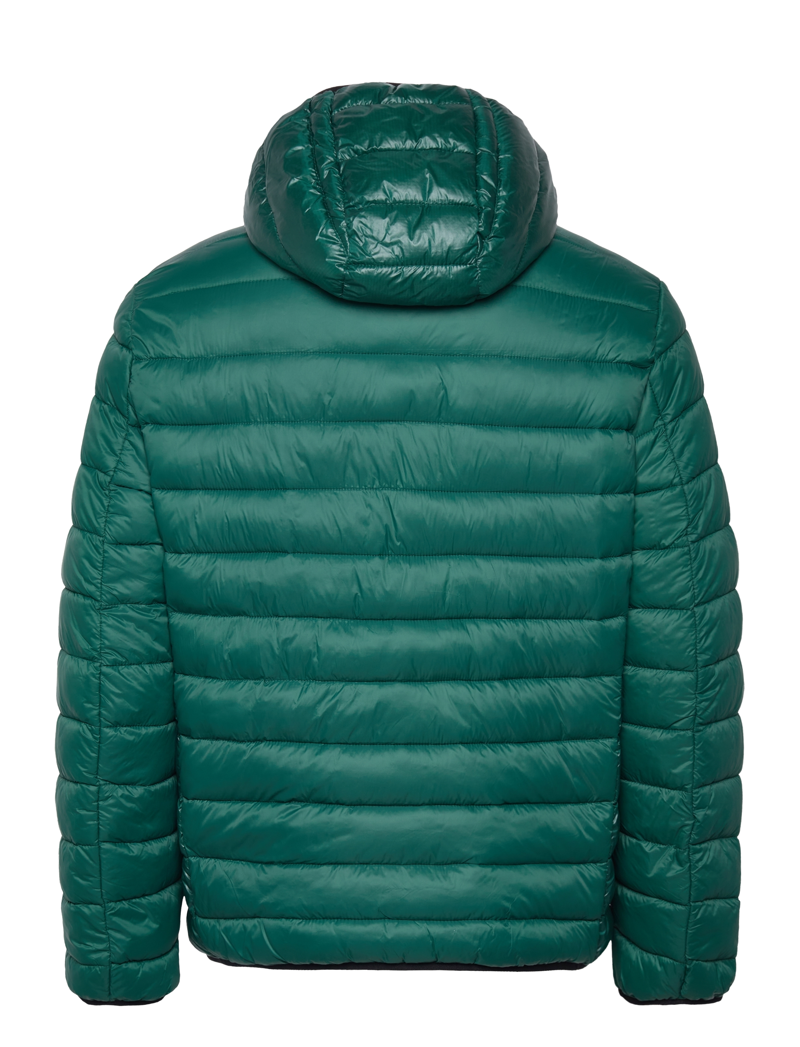 Champion - Hooded Jacket - rain forest - 1