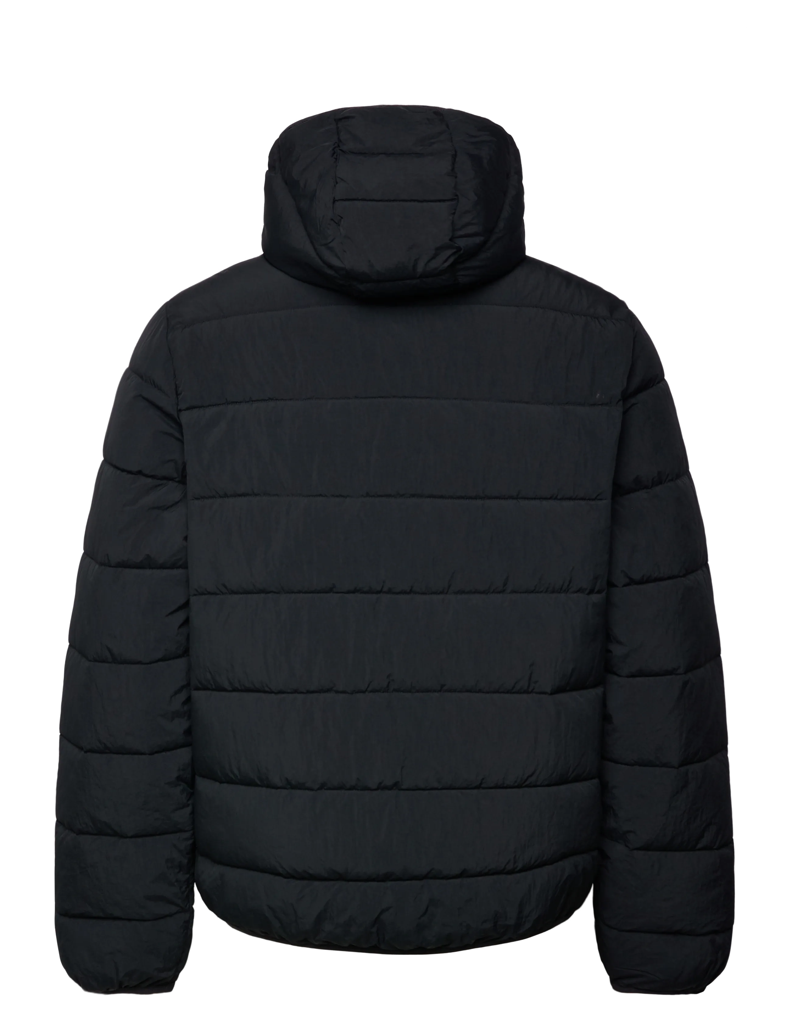 Champion - Hooded Jacket - down jackets - kk001-nbk - 2