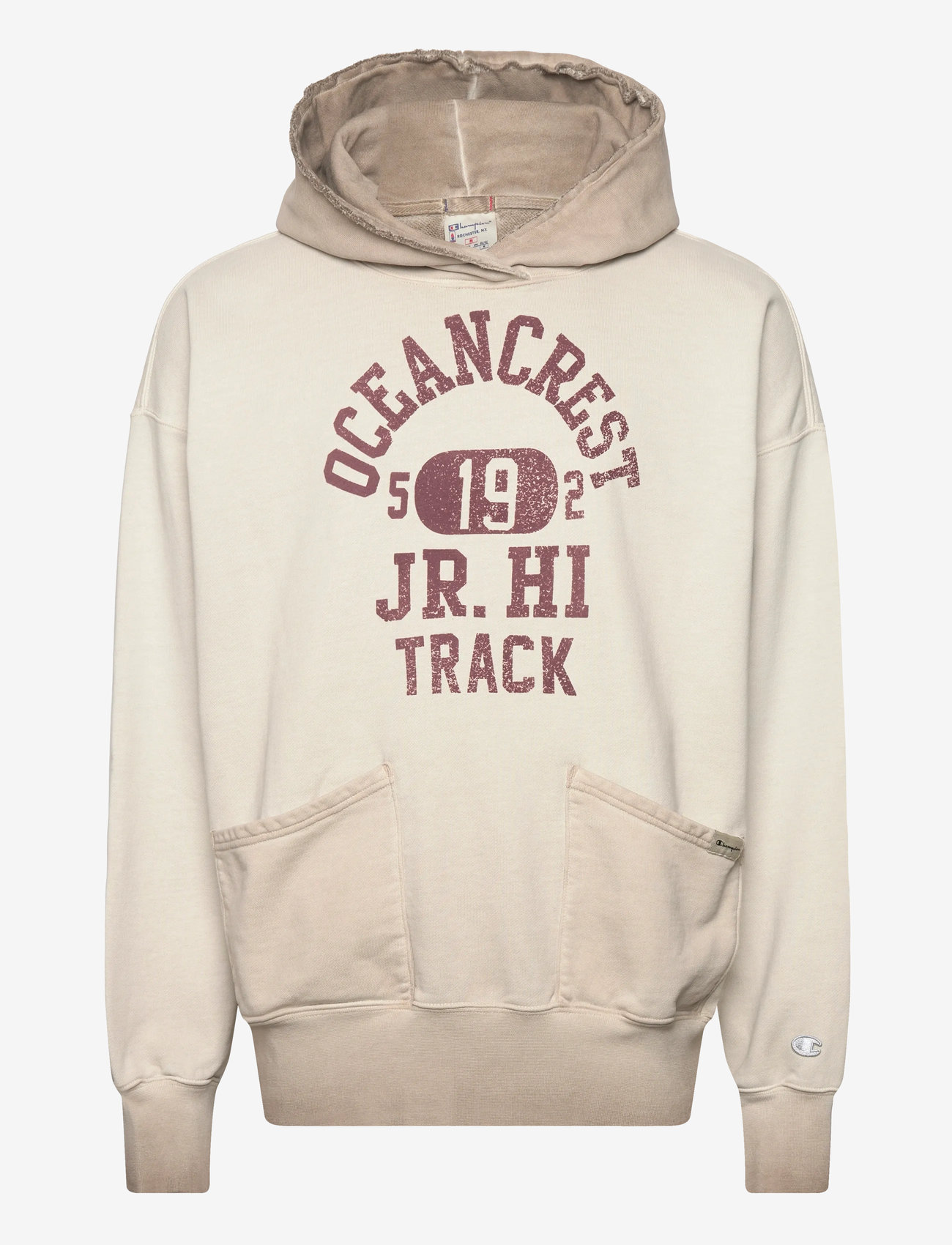 Champion - Hooded Sweatshirt - kapuzenpullover - ms100-spkh - 1