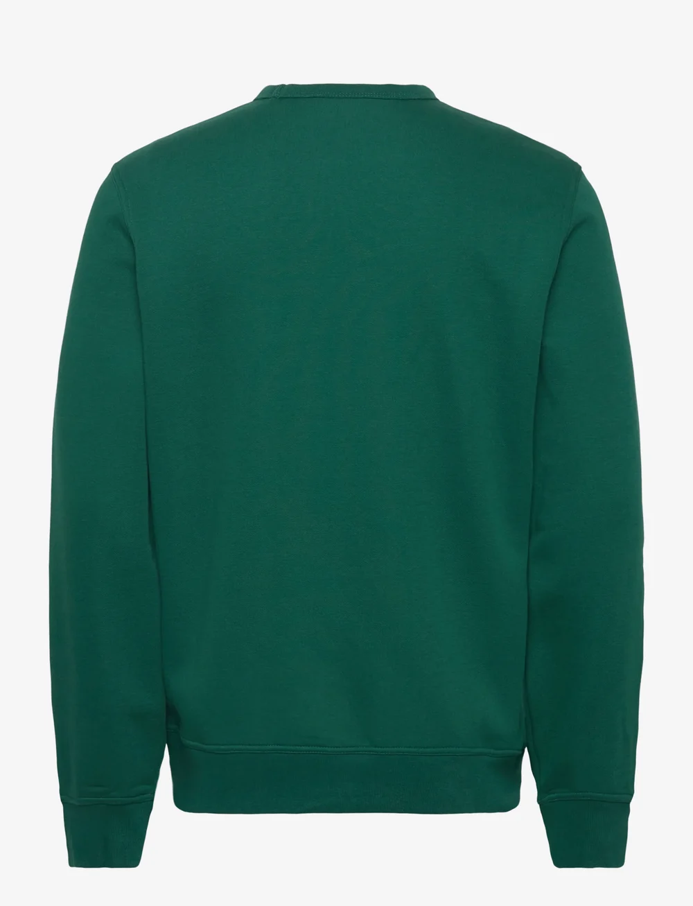 Champion - Crewneck Sweatshirt - collegepaidat - forest peak green - 2
