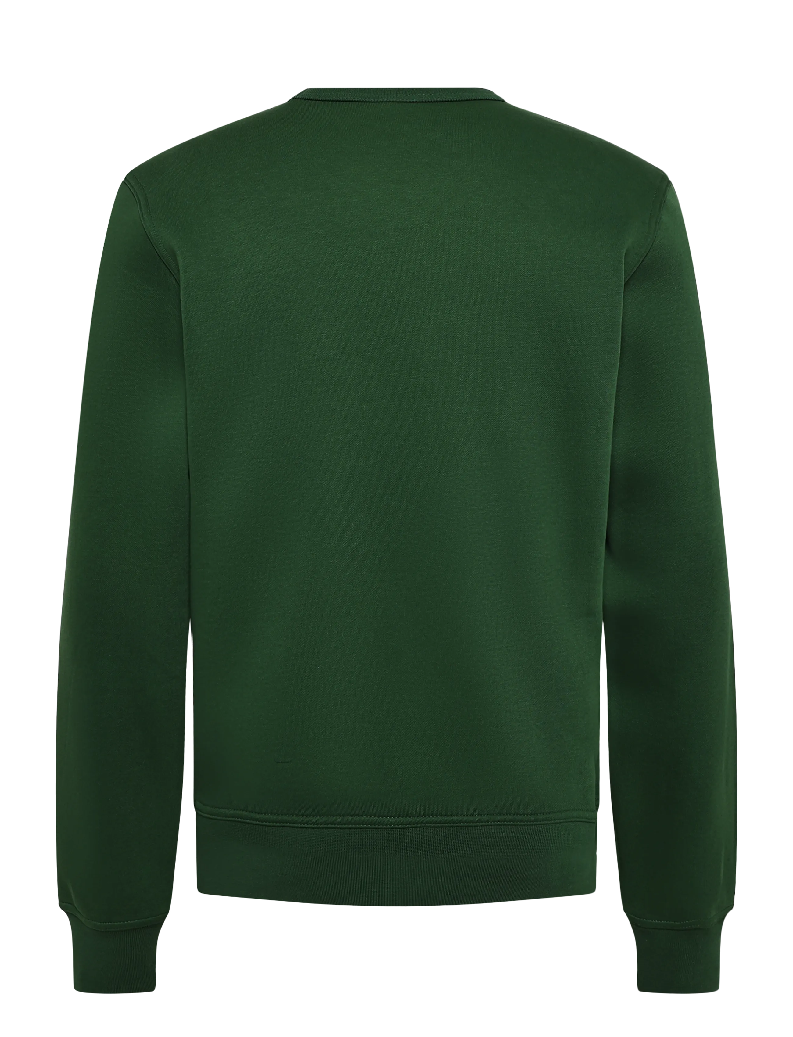 Champion - Crewneck Sweatshirt - sweatshirts - gs559-eden - 2