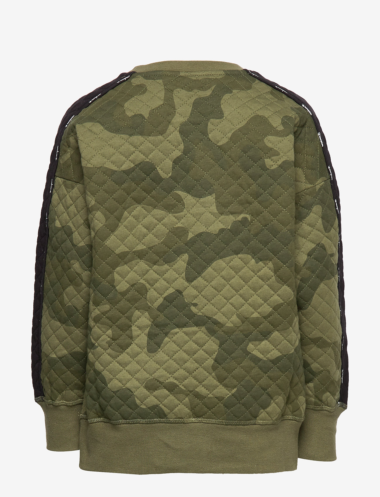 Champion - Crewneck Sweatshirt - winter moss al (wms) - 1