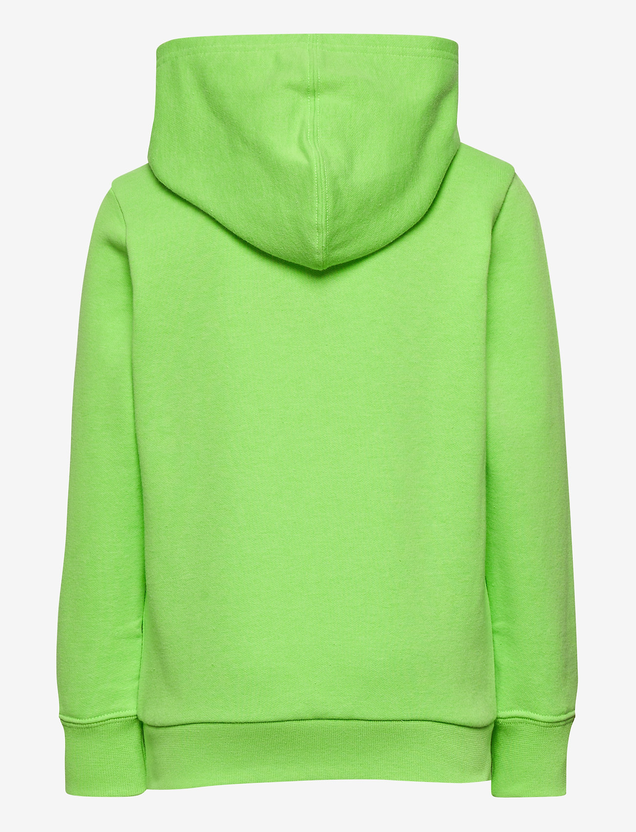 Champion - Hooded Sweatshirt - green gecko fluo - 1