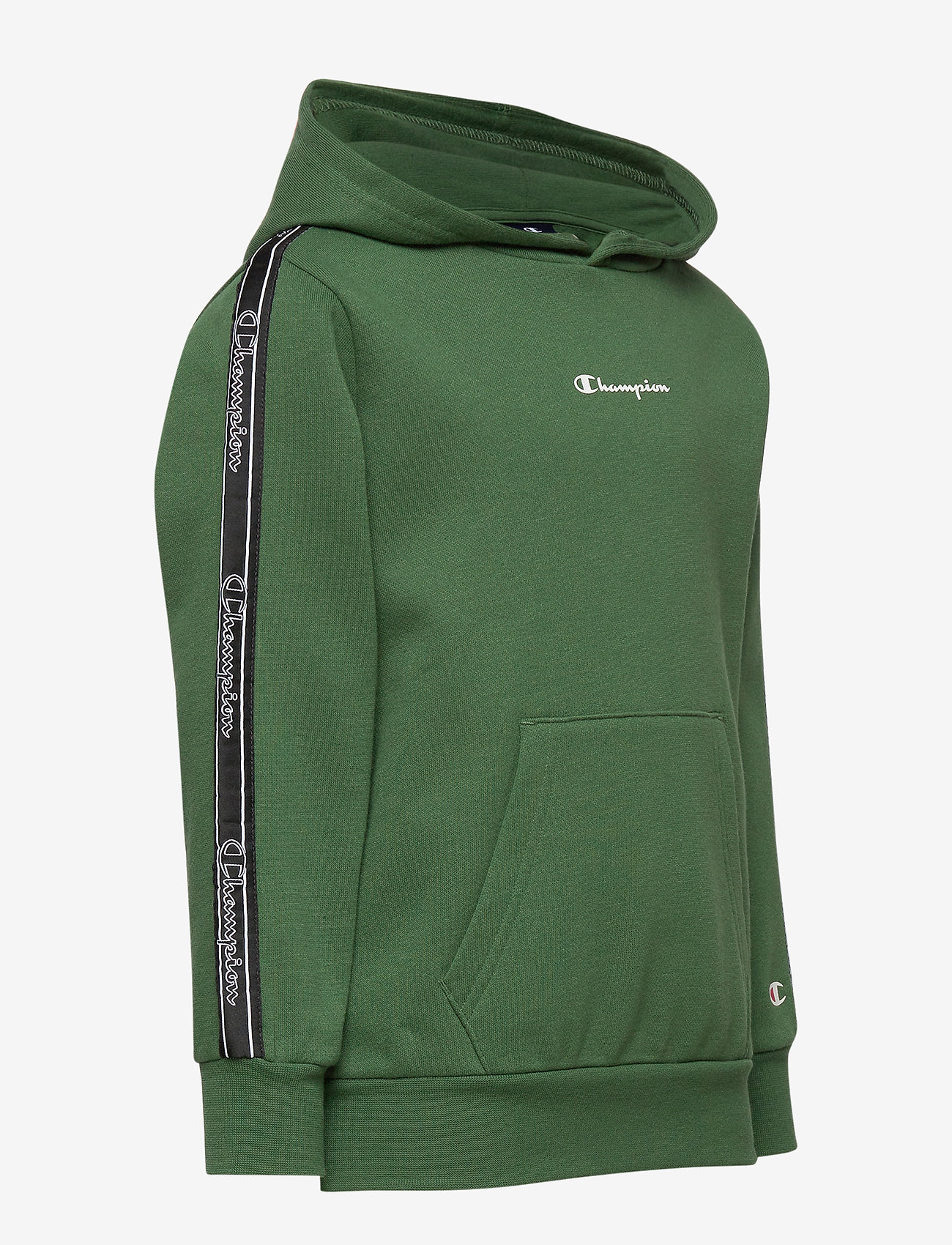 Champion - Hooded Sweatshirt - greener pastures - 2